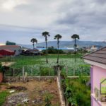 garden and mountain view 2 - house for rent Kampot
