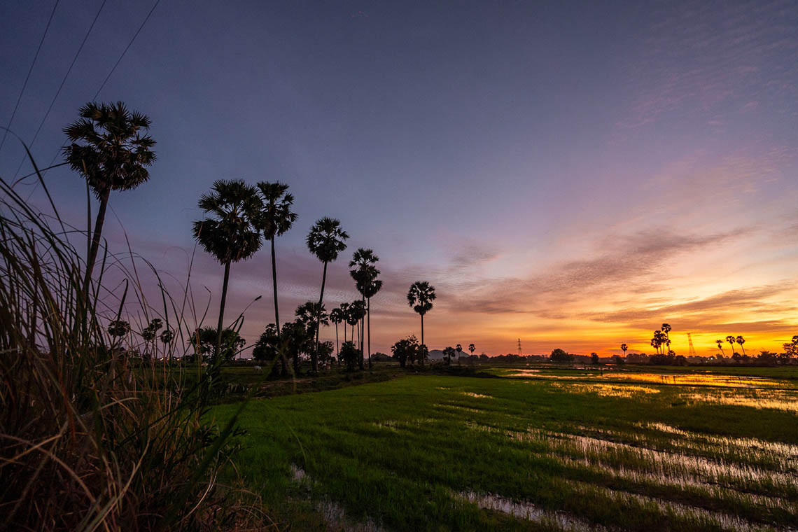 Land in Kampot at sunset