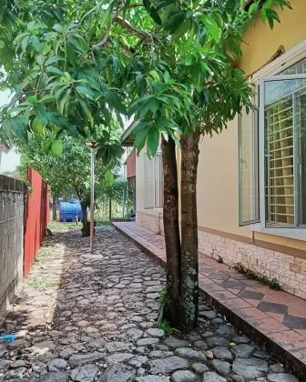 mango trees - 2 bed villa for rent kampot